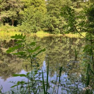 etang communal 1024x1024