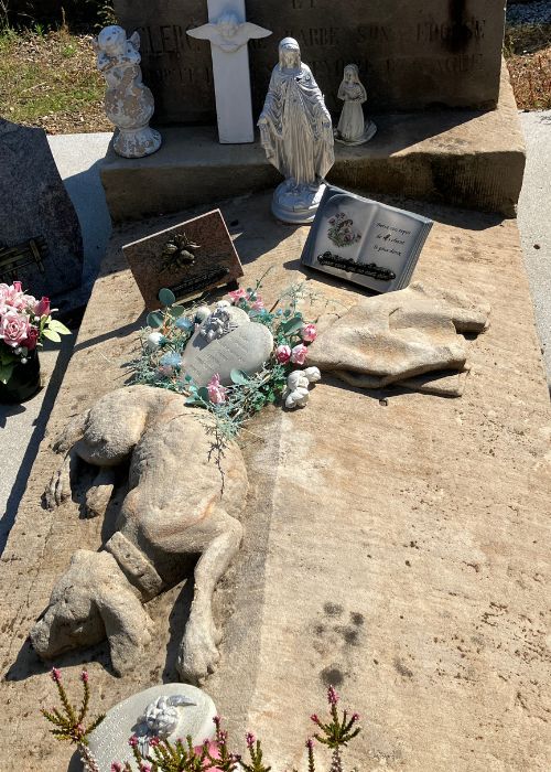 chien sur tombe 500x700